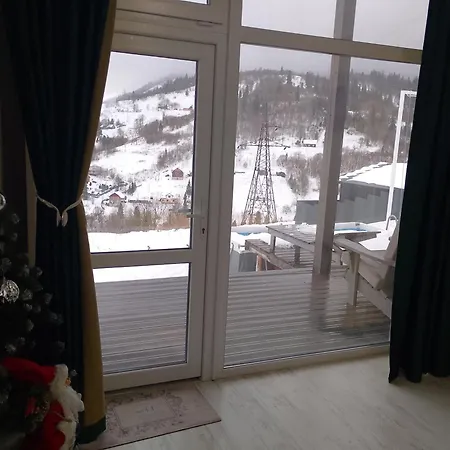 Trostjn House Slavske