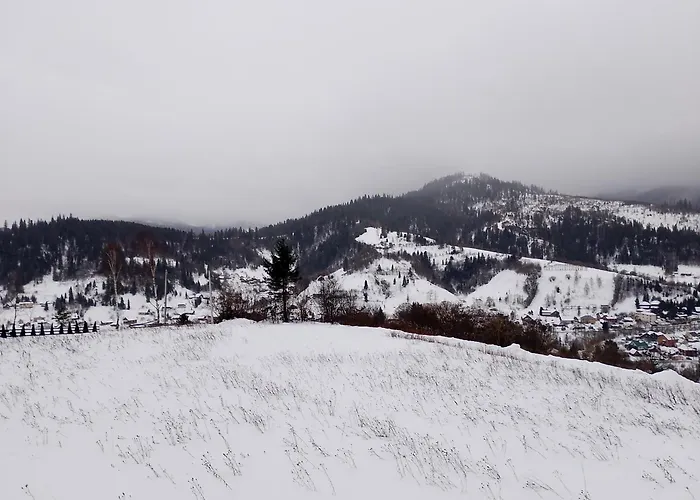 панорамний будиночок