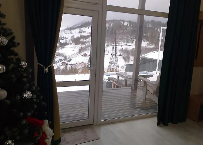 панорамний будиночок Slavske